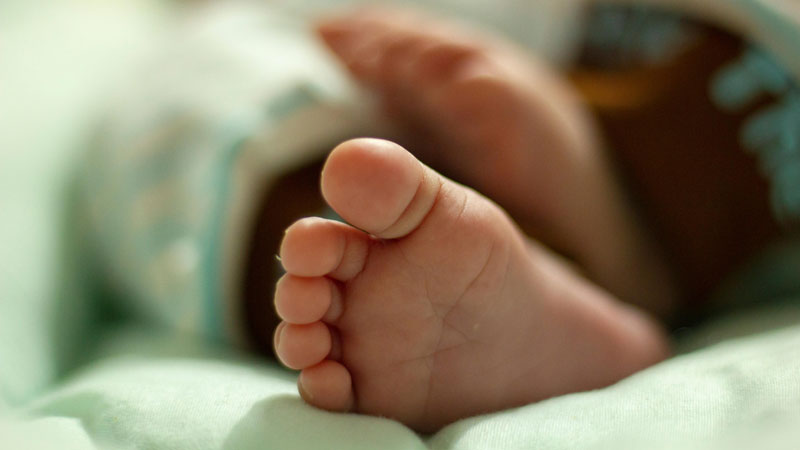 Defender a vida sempre: CNBB manifesta preocupação com decisões judiciais sobre o aborto