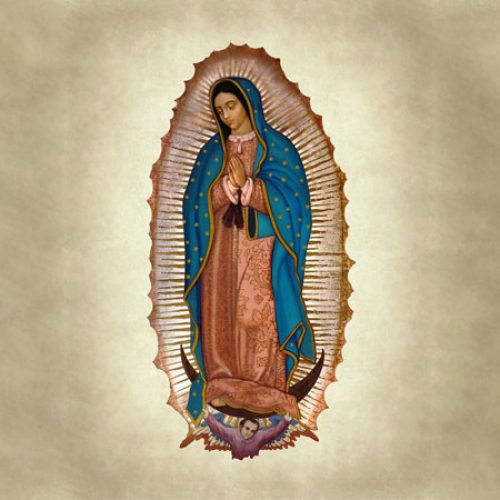 Dom Leomar Brustolin: Guadalupe tem dimensão universal e revela o amor de Deus pela humanidade