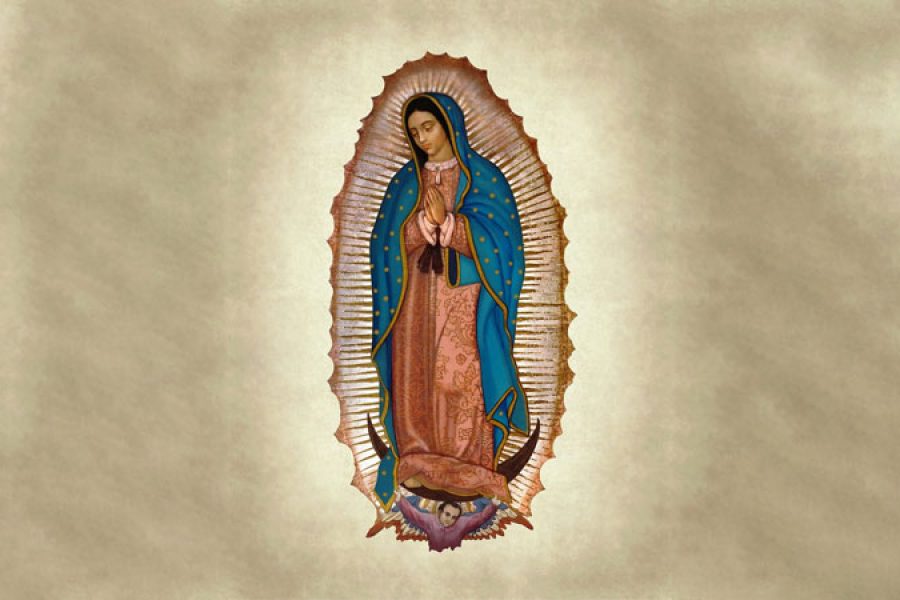 Dom Leomar Brustolin: Guadalupe tem dimensão universal e revela o amor de Deus pela humanidade