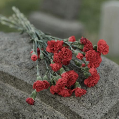 Faleceu a irmã Maria da Glória Bordeghini, pioneira da articulação da Pastoral da Comunicação