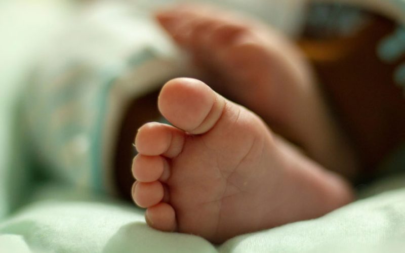 Defender a vida sempre: CNBB manifesta preocupação com decisões judiciais sobre o aborto